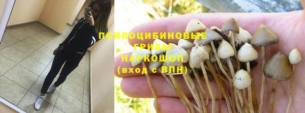стаф Беломорск