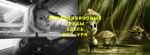 стаф Беломорск