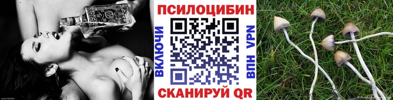 дарнет шоп Короча Галлюциногенные грибы Cubensis